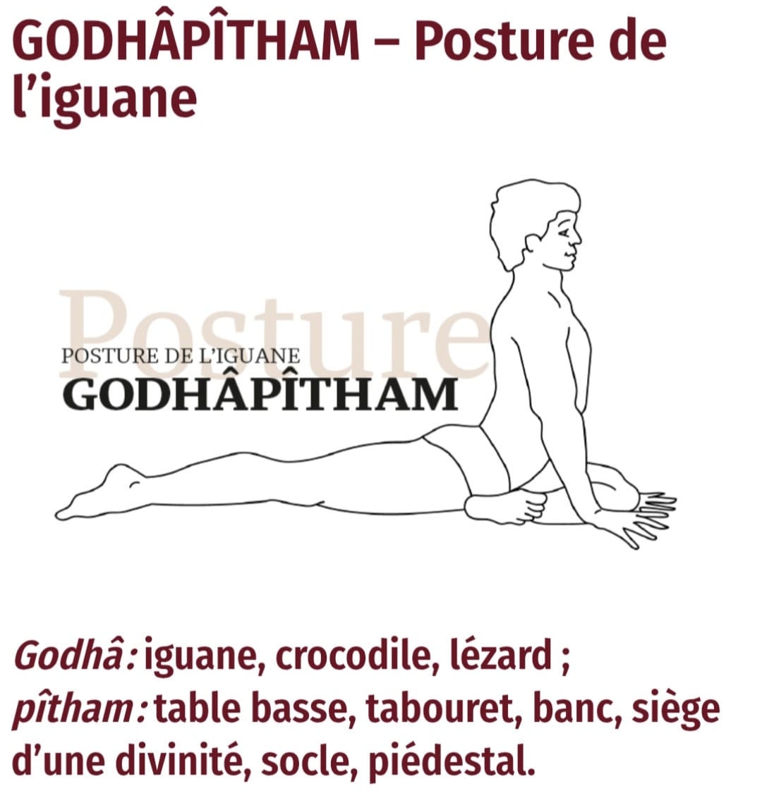 Mobilité des hanches — séance de yoga guidée par Fabienne Olivon