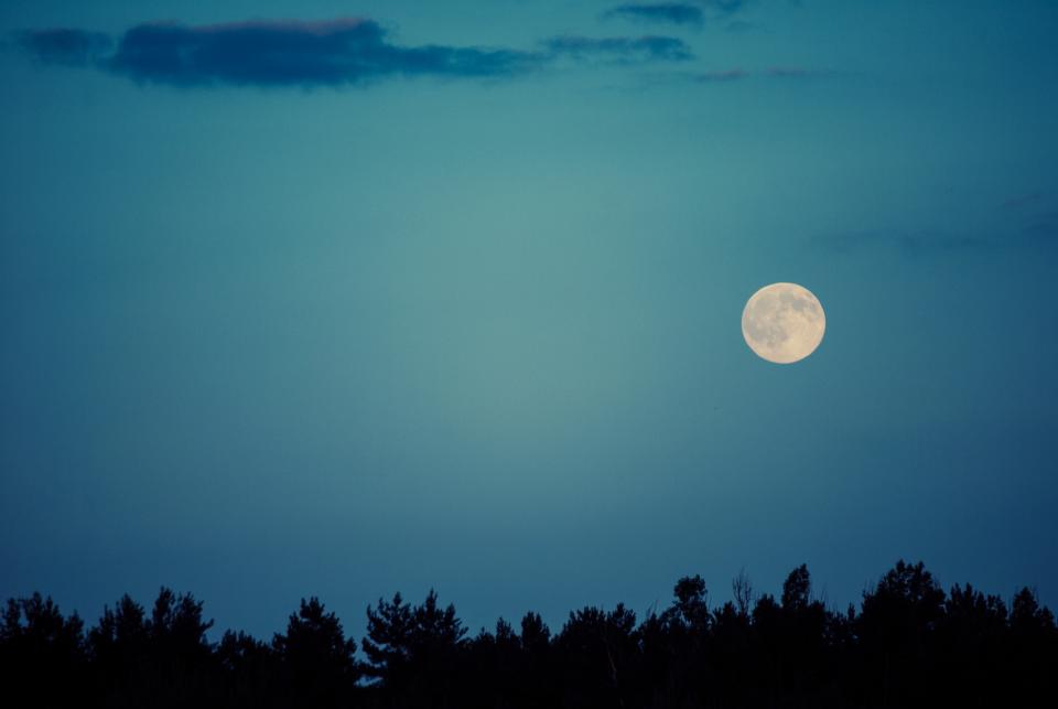 Petite Lune — salutation à la lune — séance de yoga guidée par Fabienne Olivon